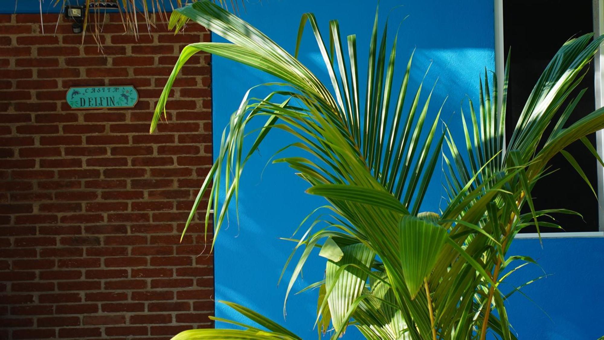 Ocean Oasis Hotel - Adult Only, Four Casitas Boutique Resort Agua Blanca Εξωτερικό φωτογραφία