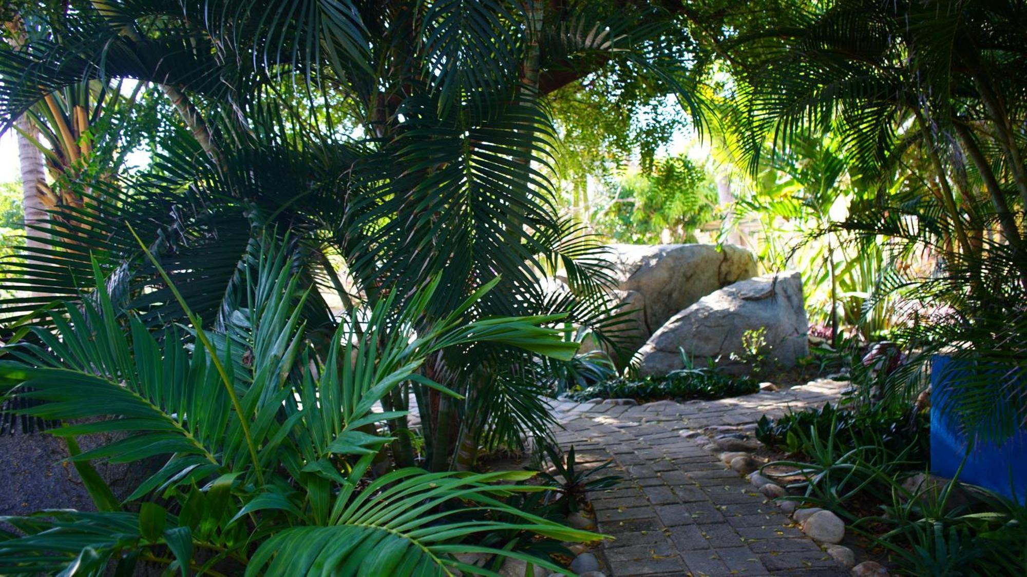 Ocean Oasis Hotel - Adult Only, Four Casitas Boutique Resort Agua Blanca Εξωτερικό φωτογραφία